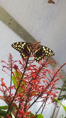 20130813_141754.jpg