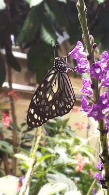 20130813_141818.jpg