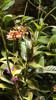 20130813_141827.jpg