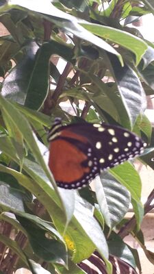 20130813_141835.jpg