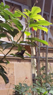 20130813_141844.jpg