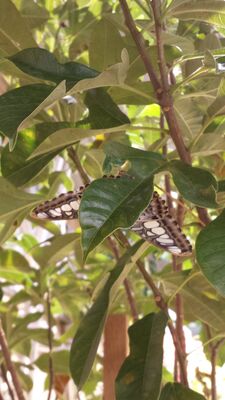 20130813_141857.jpg