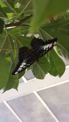 20130813_141904.jpg