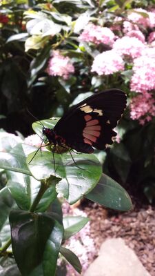 20130813_141930.jpg