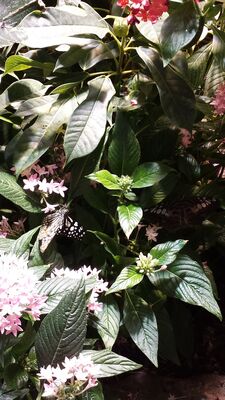 20130813_141939.jpg