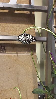 20130813_141951.jpg