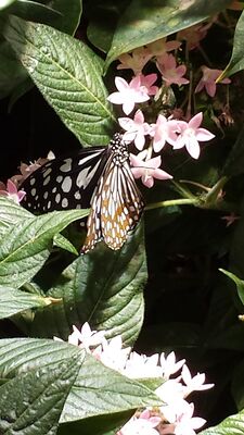 20130813_141957.jpg