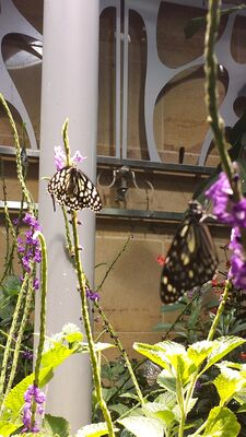 20130813_142011.jpg