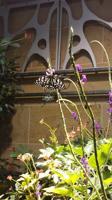 20130813_142030.jpg