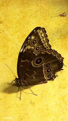 20130813_142153.jpg