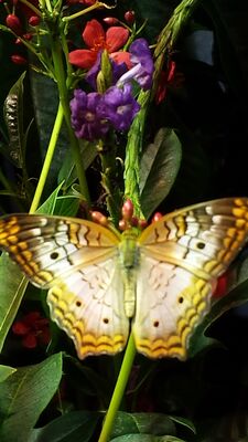 20130813_142202.jpg