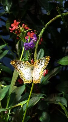 20130813_142207.jpg