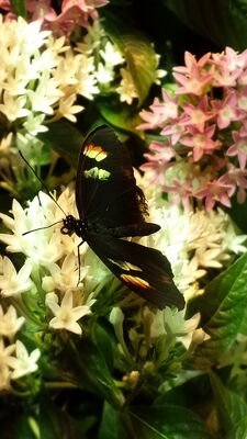 20130813_142228.jpg