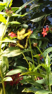 20130813_142235.jpg