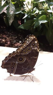 20130813_142307.jpg