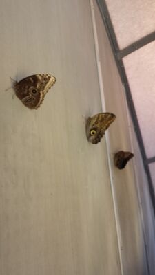 20130813_142335.jpg