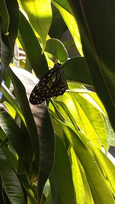 20130813_142345.jpg