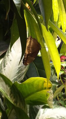 20130813_142350.jpg