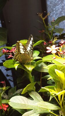 20130813_142524.jpg