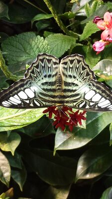 20130813_142649.jpg
