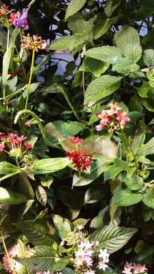 20130813_142653.jpg