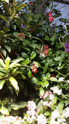20130813_142659.jpg
