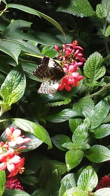 20130813_142705.jpg