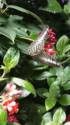 20130813_142707.jpg