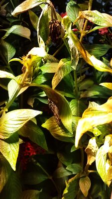 20130813_142721.jpg