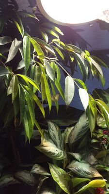 20130813_142750.jpg