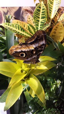 20130813_142820.jpg