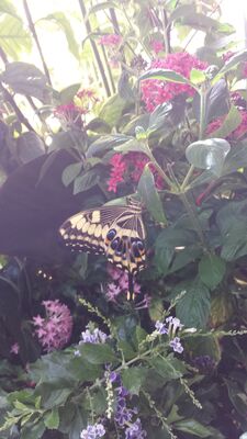20130813_142841.jpg