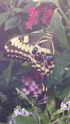 20130813_142854.jpg