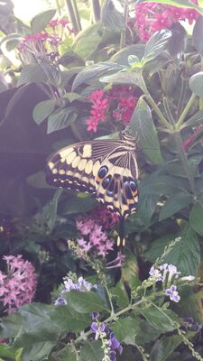 20130813_142902.jpg