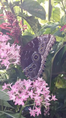 20130813_142919.jpg