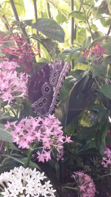 20130813_142928.jpg
