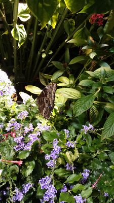 20130813_142939.jpg