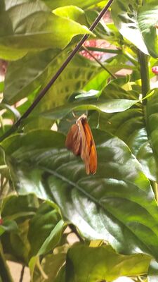 20130813_142947.jpg