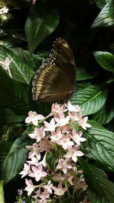 20130813_143007.jpg