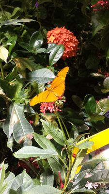 20130813_143145.jpg