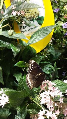20130813_143150.jpg