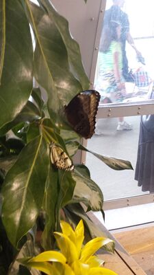20130813_143325.jpg