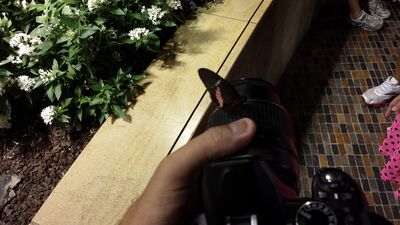 20130813_143342.jpg