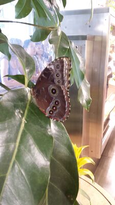 20130813_143347.jpg