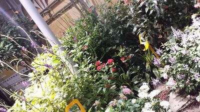 20130813_143422.jpg