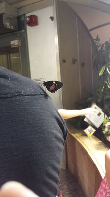 20130813_143650.jpg