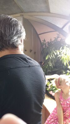 20130813_143653.jpg