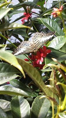 20130813_143752.jpg