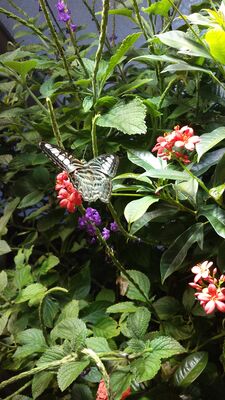 20130813_143811.jpg