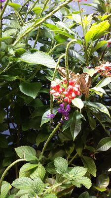 20130813_143817.jpg